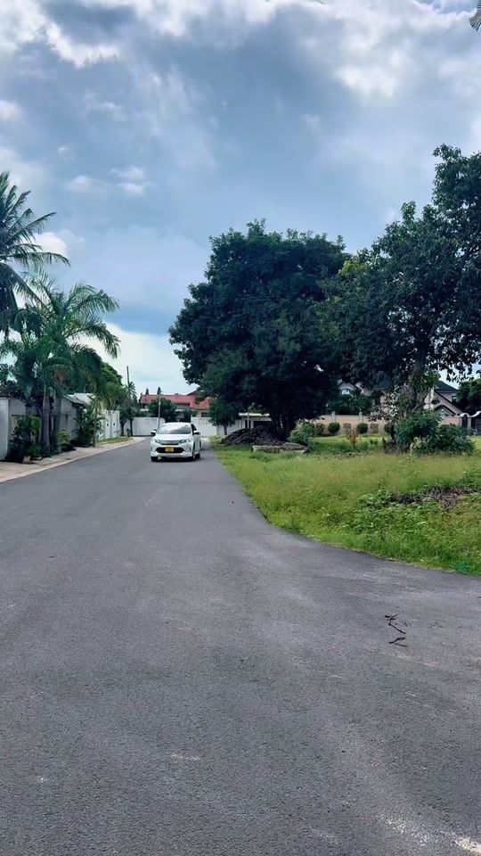 TikTok video thumbnail by frankies_safari
