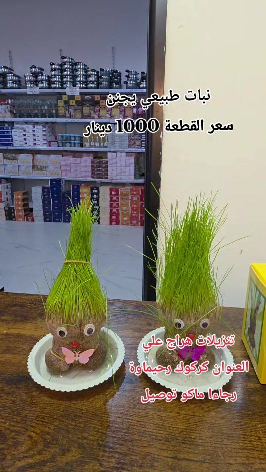 TikTok video thumbnail by haraj_ali