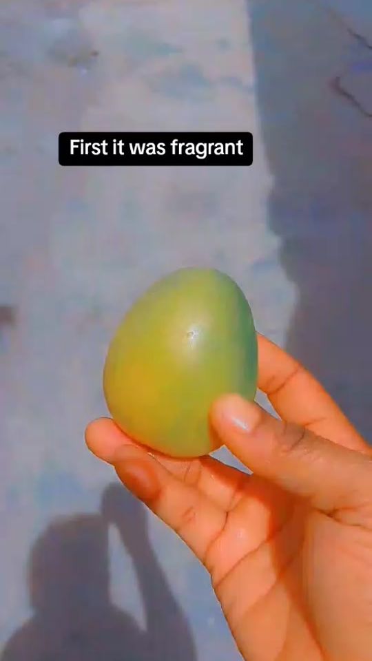 TikTok video thumbnail by slimbae29