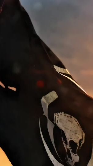 TikTok video thumbnail by captain_edwardkenway