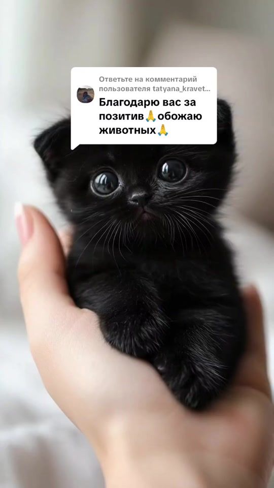 TikTok video thumbnail by zarema9.8