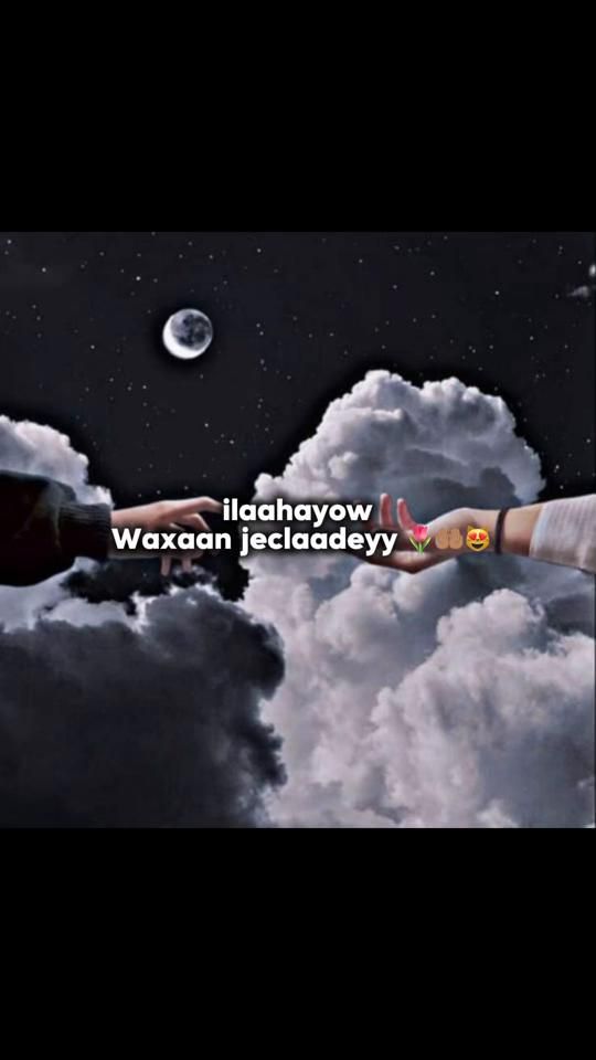 TikTok video thumbnail by camaar194