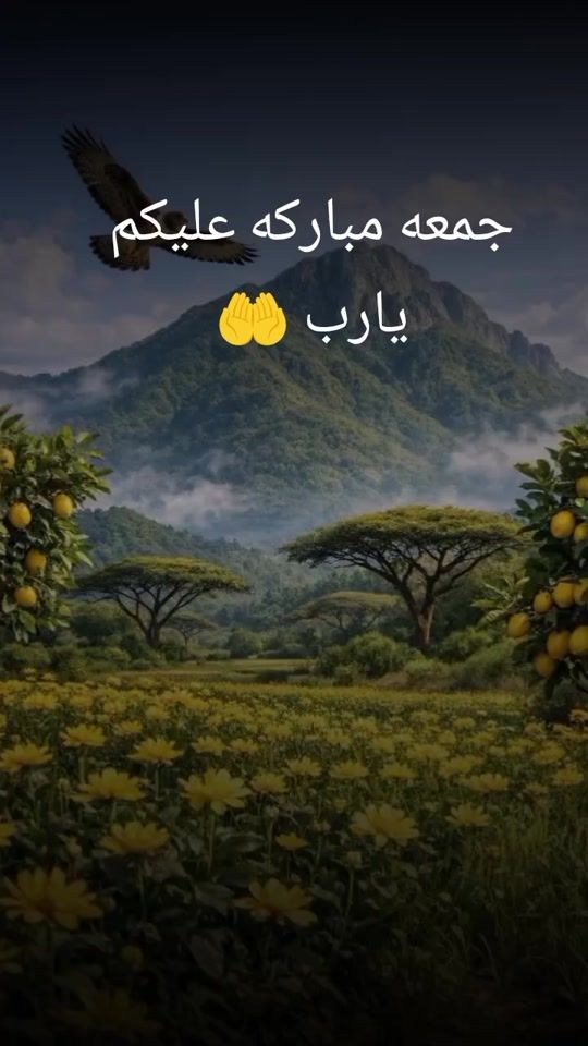 TikTok video thumbnail by user30884493695246