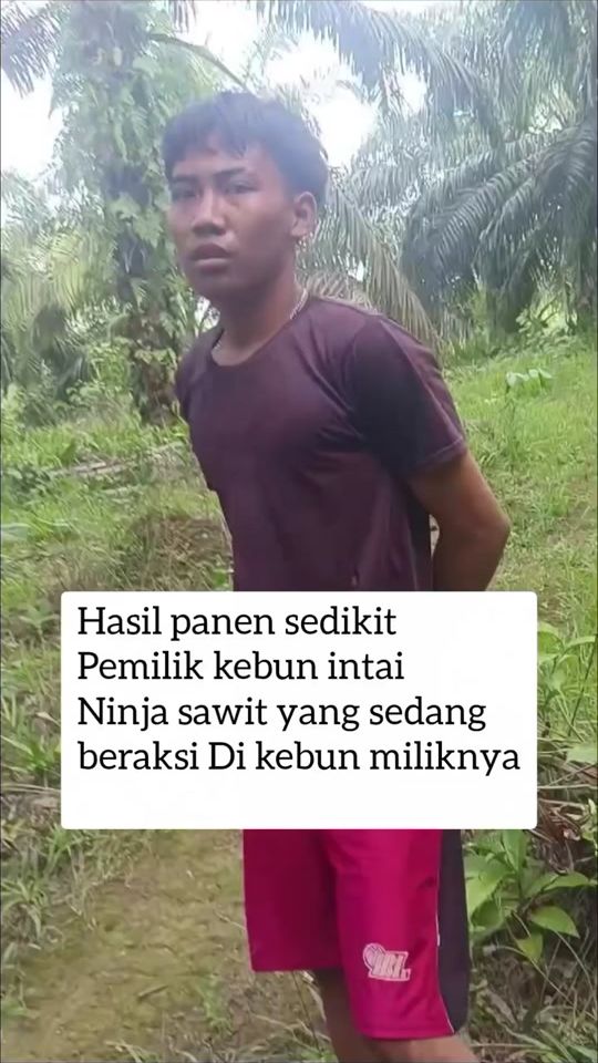 TikTok video thumbnail by adminbengkulu1