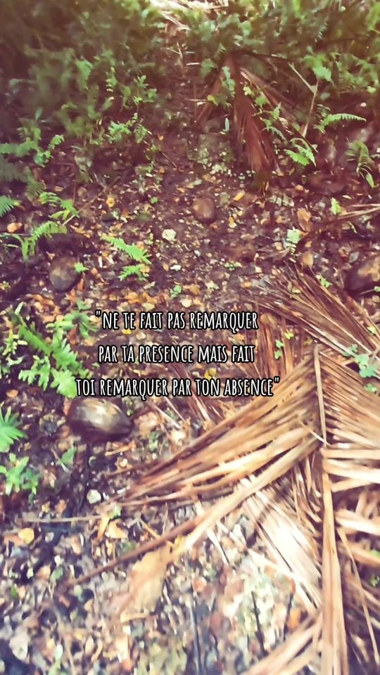 TikTok video thumbnail by grrrt_baw