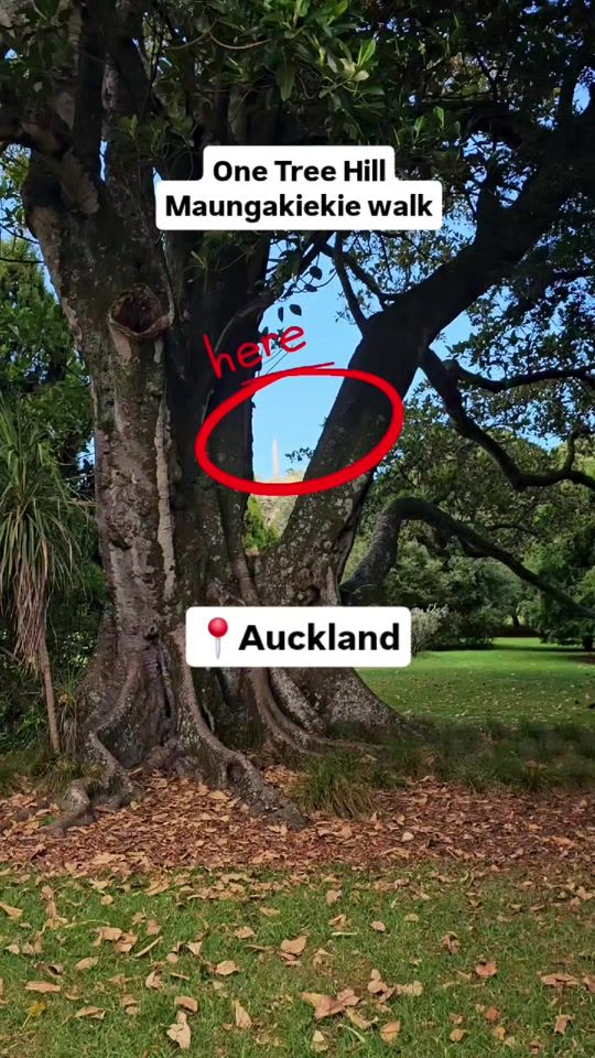 TikTok video thumbnail by nz_adventures
