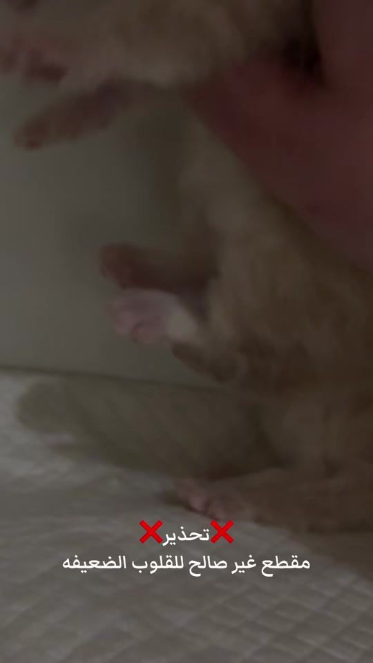 TikTok video thumbnail by angel.lawrence_