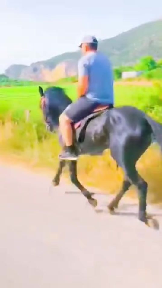 TikTok video thumbnail by yorga.atlar1