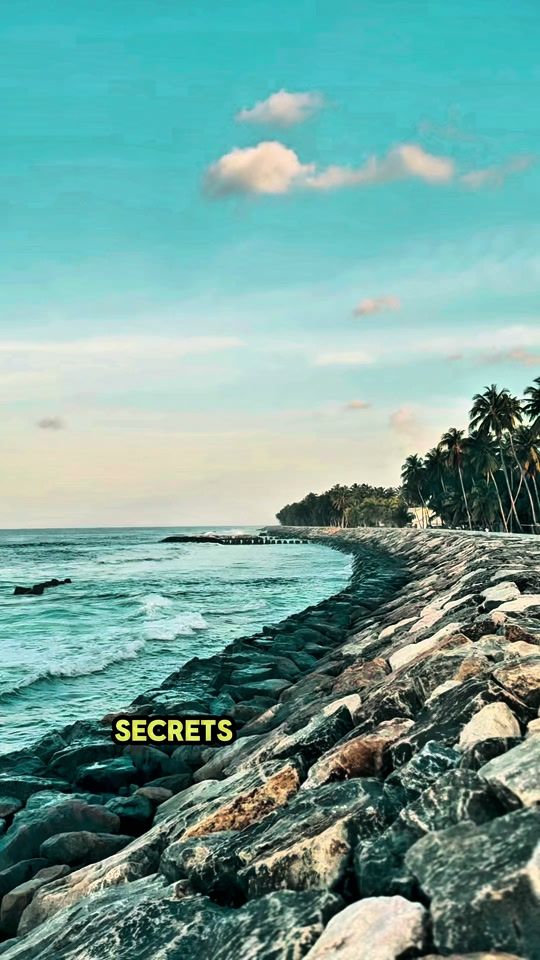 TikTok video thumbnail by dhaadhmv