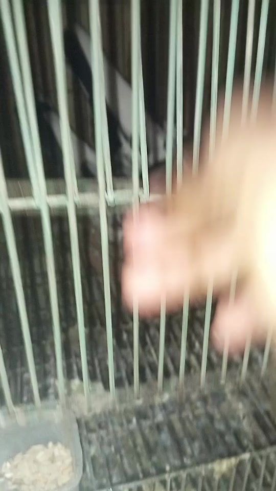 TikTok video thumbnail by jitbiswas243