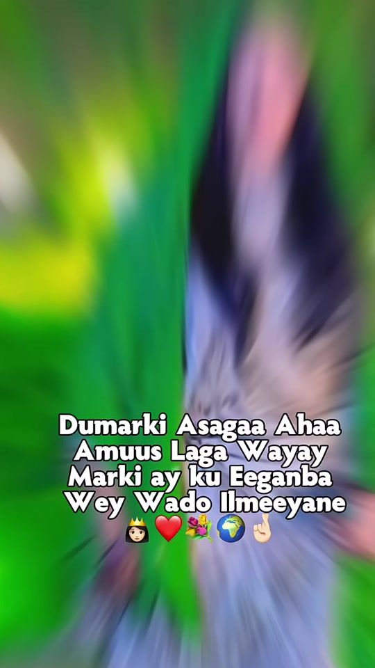 TikTok video thumbnail by shaym44_