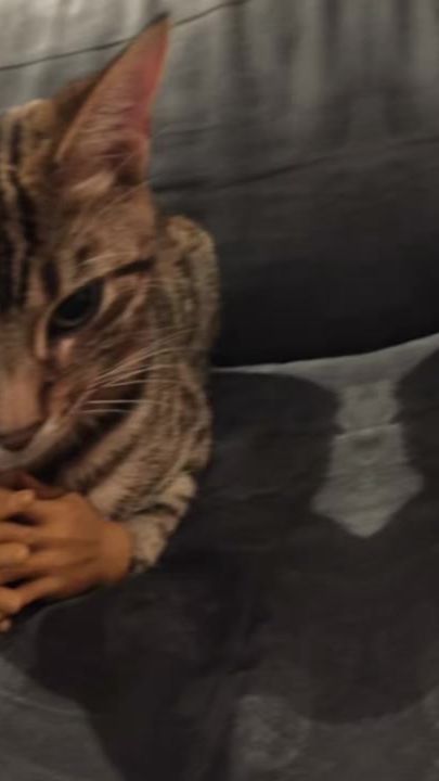 TikTok video thumbnail by ubeyd62