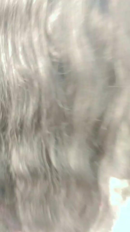 TikTok video thumbnail by faltu..faltu82