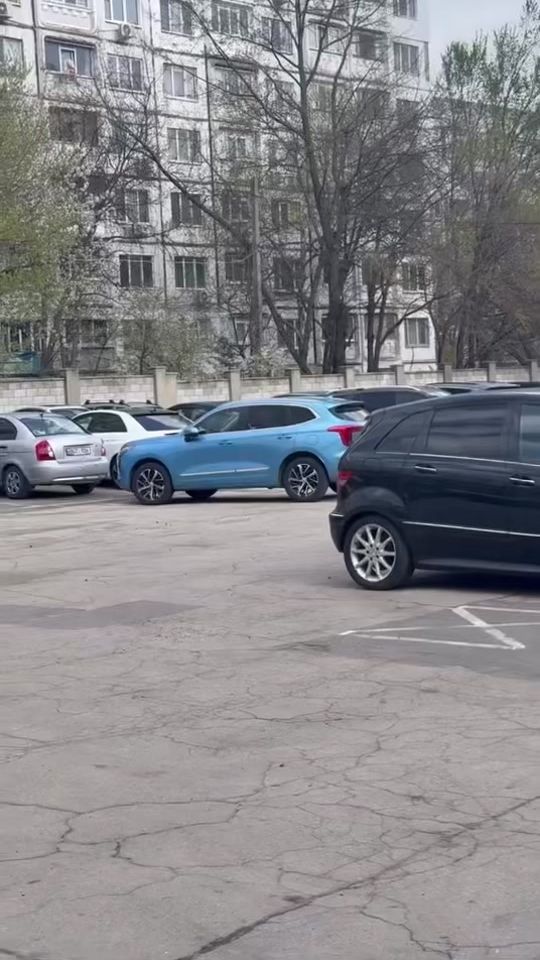 TikTok video thumbnail by gheorghe_garaba