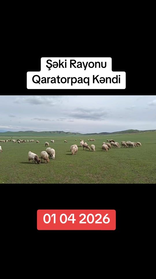 TikTok video thumbnail by ilkin.4141
