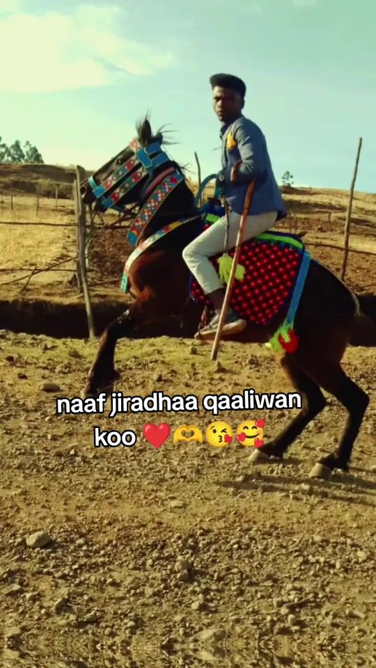 TikTok video thumbnail by biftuutulu