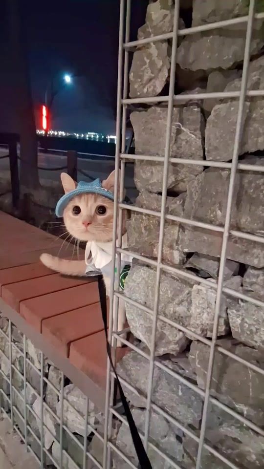 TikTok video thumbnail by dlems80