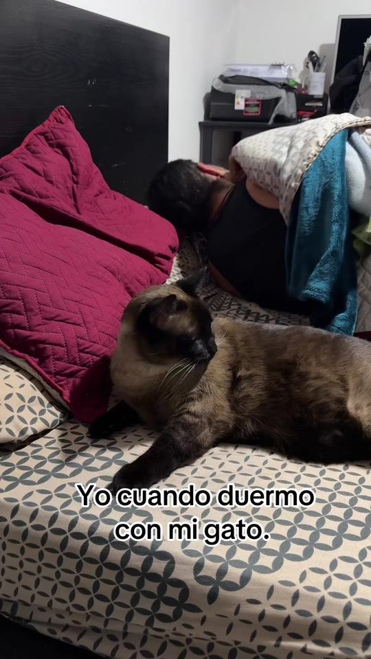 TikTok video thumbnail by jeffer_gonz_