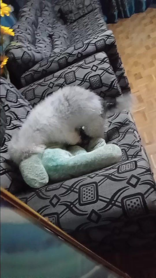 TikTok video thumbnail by n_i_l_1111