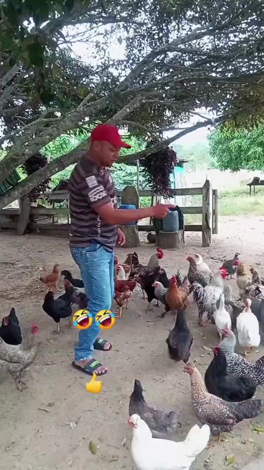 TikTok video thumbnail by cesaroliver30oficial