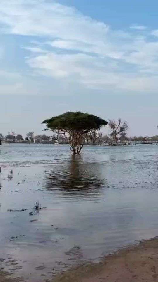 TikTok video thumbnail by al_alree7