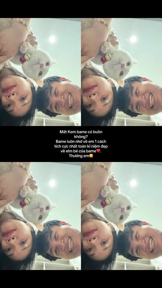 TikTok video thumbnail by ntdt_311