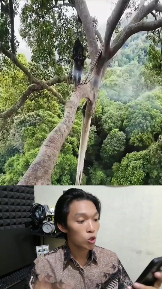 TikTok video thumbnail by tayoepep27_