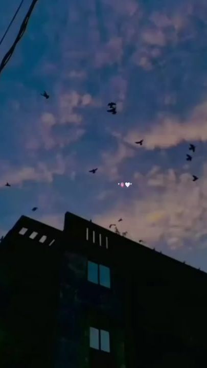 TikTok video thumbnail by ali___rajput.007