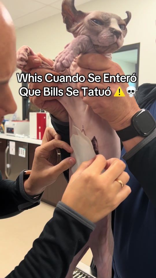 TikTok video thumbnail by don_esfinge