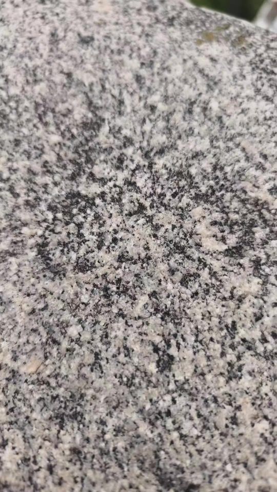 TikTok video thumbnail by byyimmi
