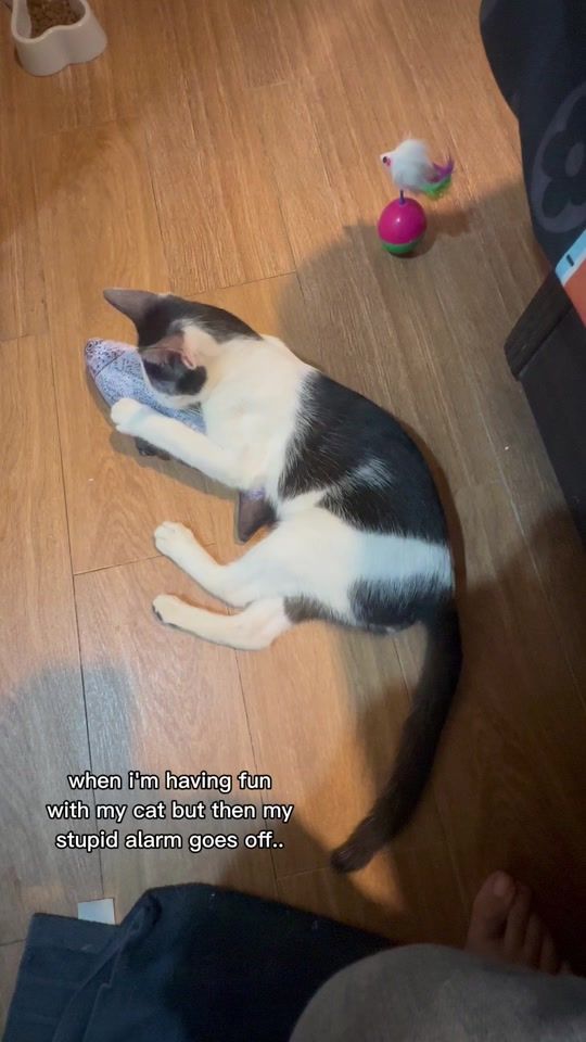 TikTok video thumbnail by gendisyul