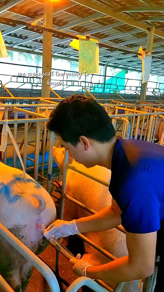 TikTok video thumbnail by tmswine