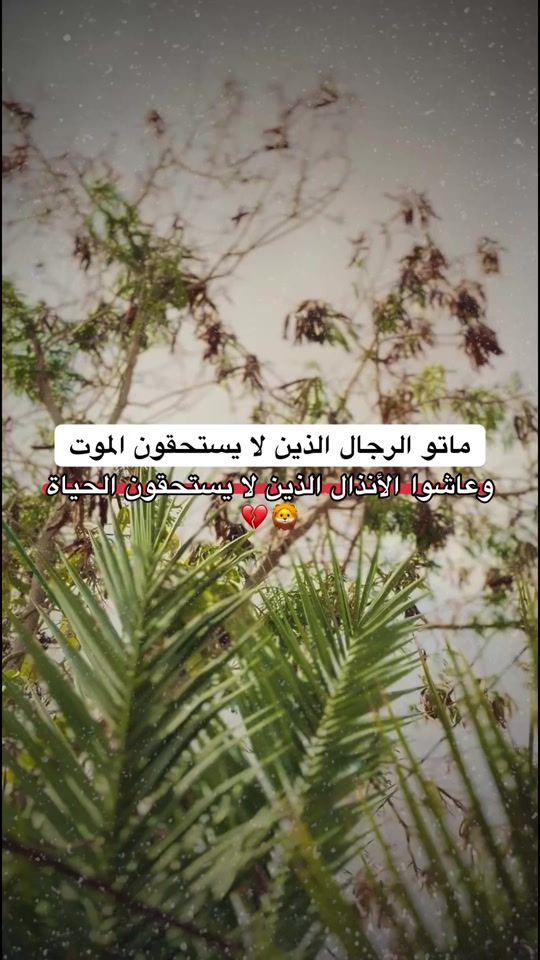 TikTok video thumbnail by ah11a6