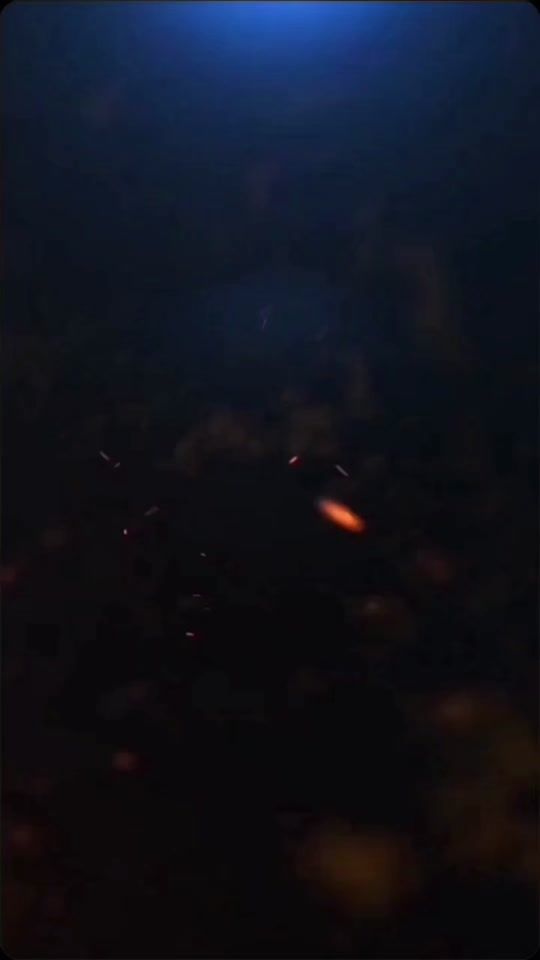 TikTok video thumbnail by supashit_1987