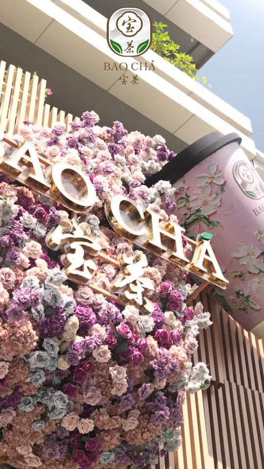 TikTok video thumbnail by bao_cha