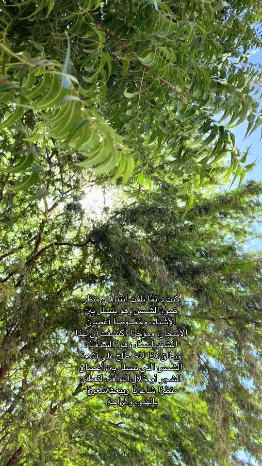 TikTok video thumbnail by shifaa.ab1
