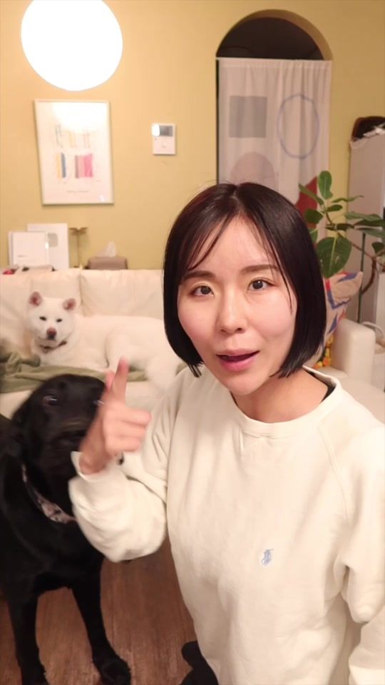 TikTok video thumbnail by misonico