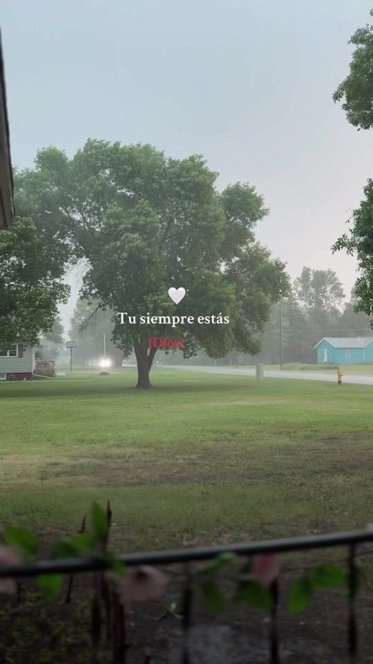 TikTok video thumbnail by h_fd_1998