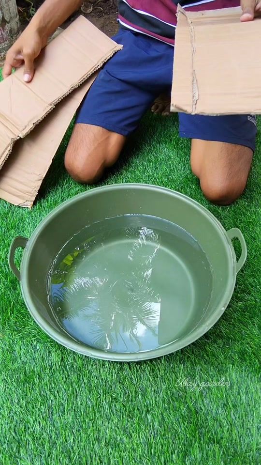 TikTok video thumbnail by ubay.garden