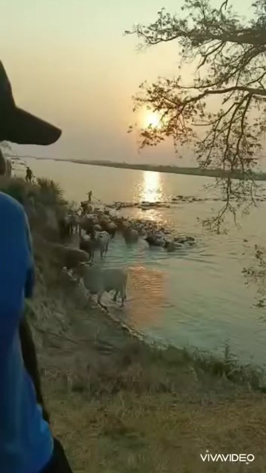 TikTok video thumbnail by maalazm
