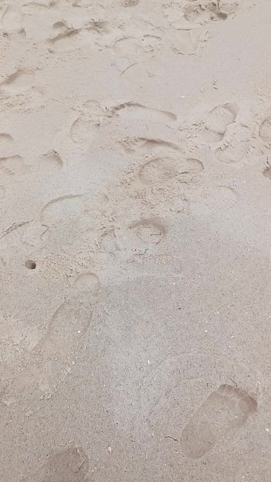 TikTok video thumbnail by pesca.sahara