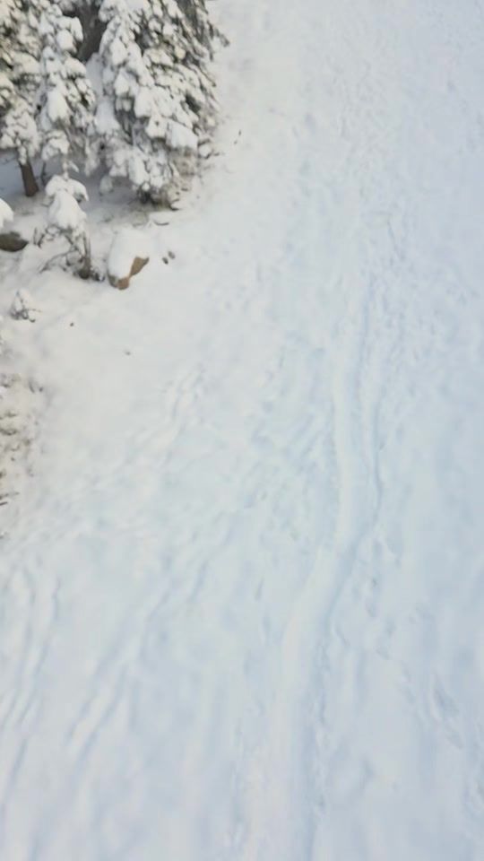 TikTok video thumbnail by kailash.kr