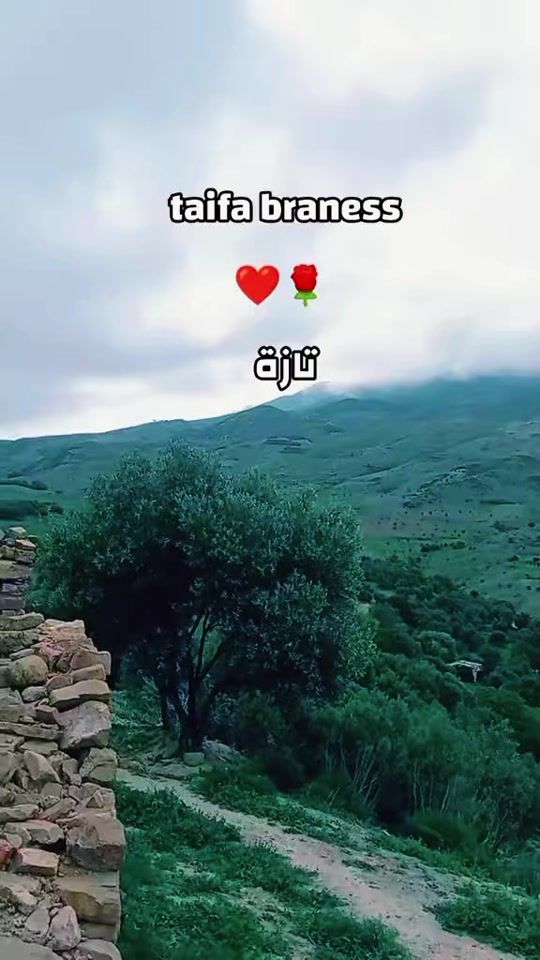 TikTok video thumbnail by safae.ely99
