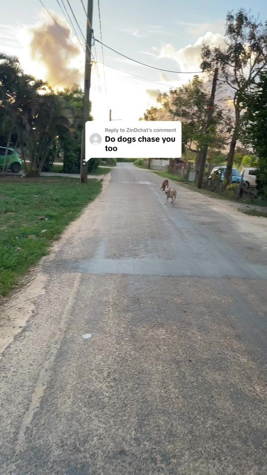 TikTok video thumbnail by girllifts