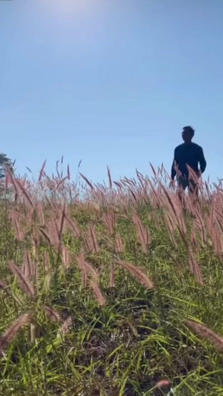 TikTok video thumbnail by eak.theerat