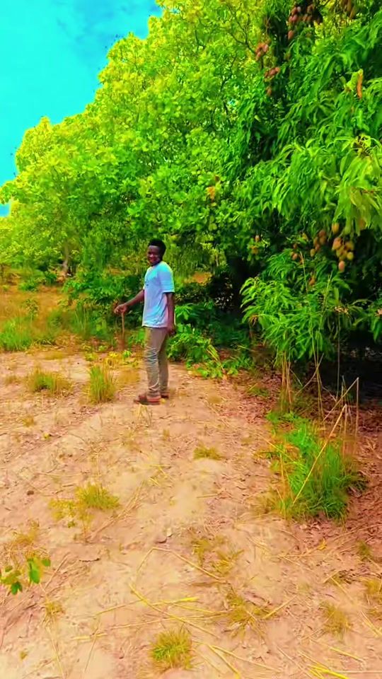 TikTok video thumbnail by aziz.cfa022