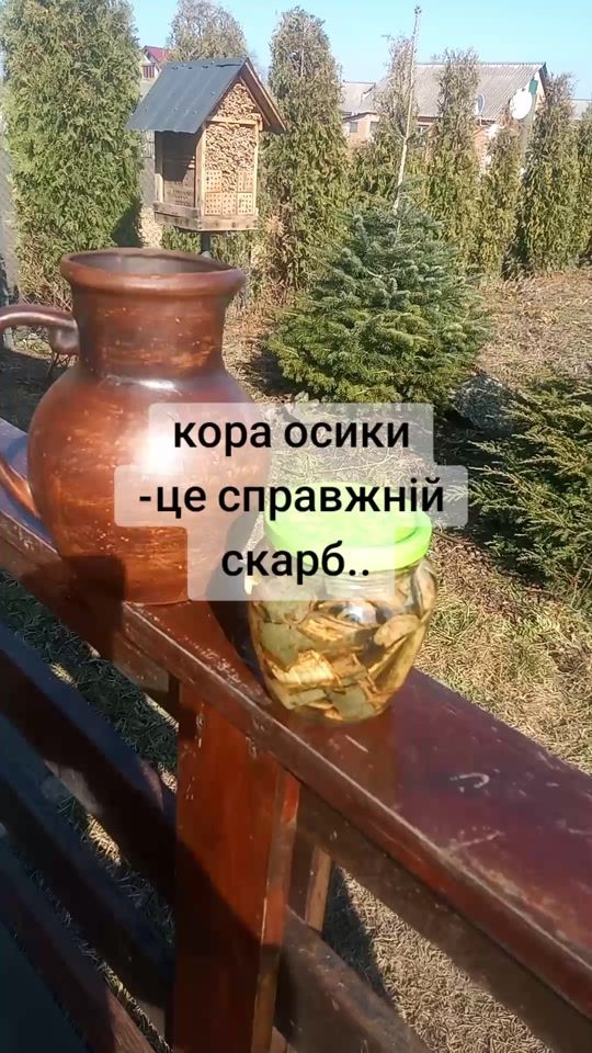 TikTok video thumbnail by likarpruroda