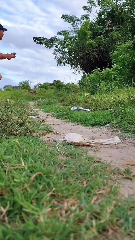 TikTok video thumbnail by elsonriente_01