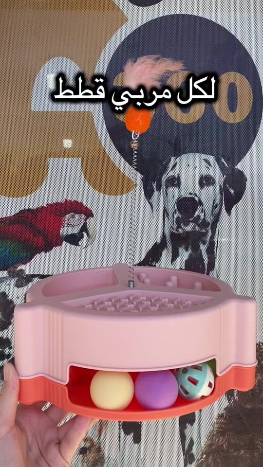 TikTok video thumbnail by animo360dz