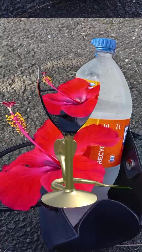 TikTok video thumbnail by anizra29